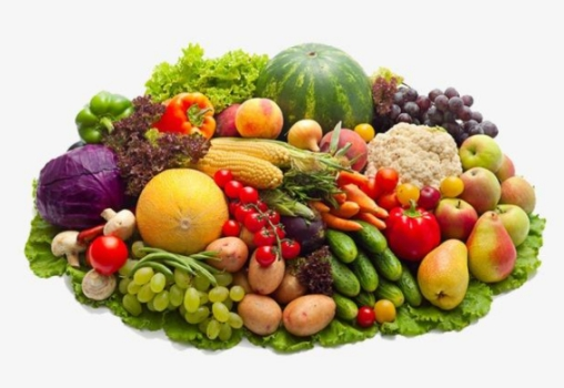 垃圾分類(lèi)后,濕垃圾怎么處理好?